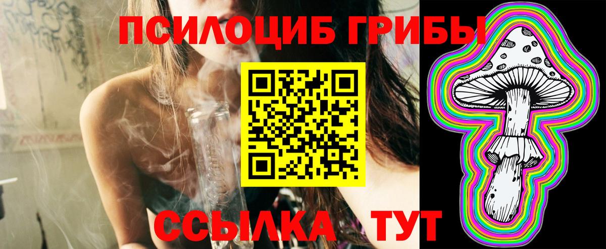 Галлюциногенные грибы Psilocybe  Вход с VPN  Вологда  Галлюциногенные грибы MAGIC MUSHROOMS 
