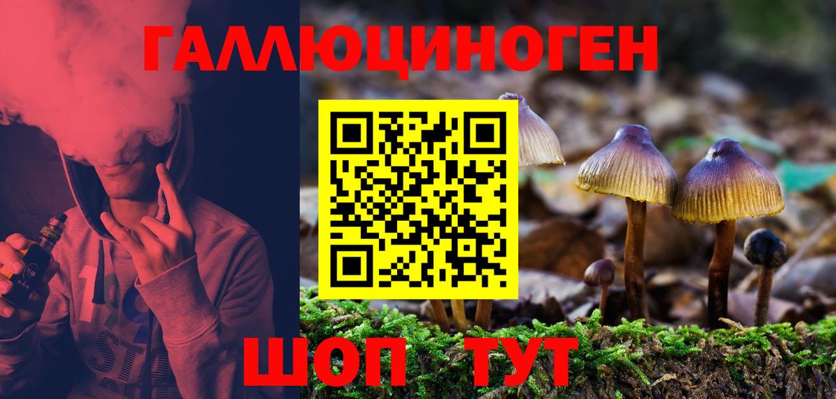 Псилоцибиновые грибы мицелий Вологда